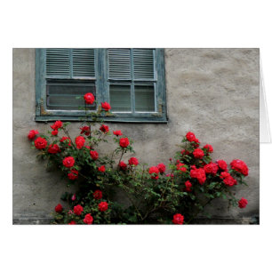 Norwegian Roses
