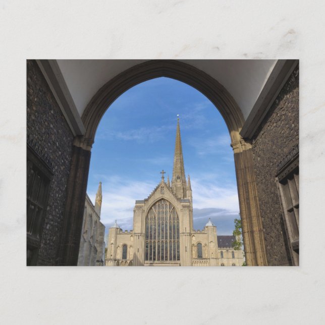 Norwich Cathedral  Postcard (Front)