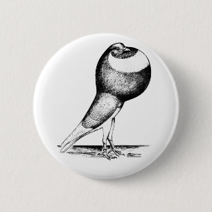 Norwich Cropper 1980 6 Cm Round Badge