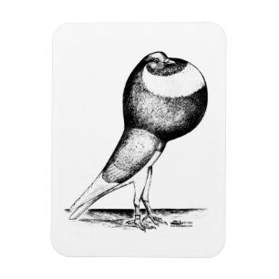 Norwich Cropper 1980 Magnet