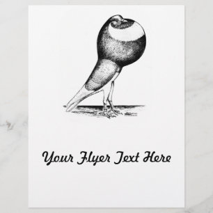 Norwich Cropper Pigeon 1980 Flyer