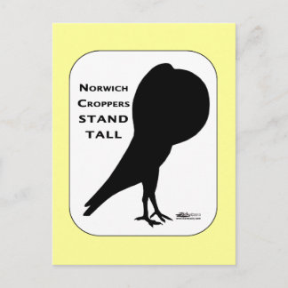 Norwich Cropper Pigeons Stand Tall Postcard