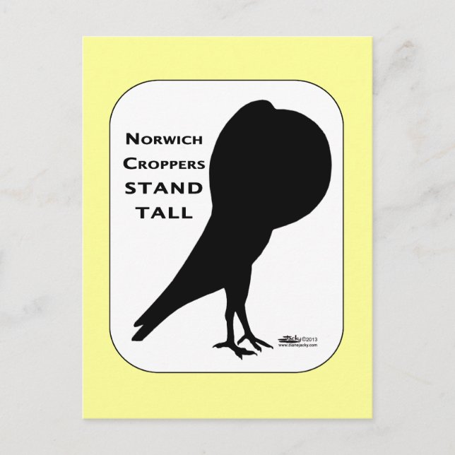 Norwich Cropper Pigeons Stand Tall Postcard (Front)