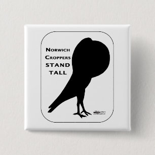 Norwich Croppers Stand Tall 15 Cm Square Badge