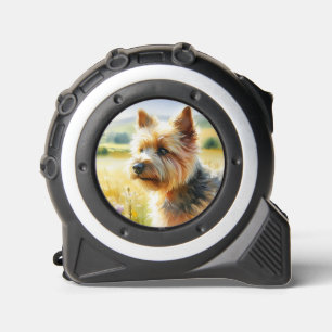 Norwich Terrier 1