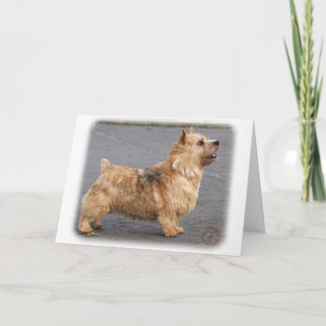 Norwich Terrier Card (Front)