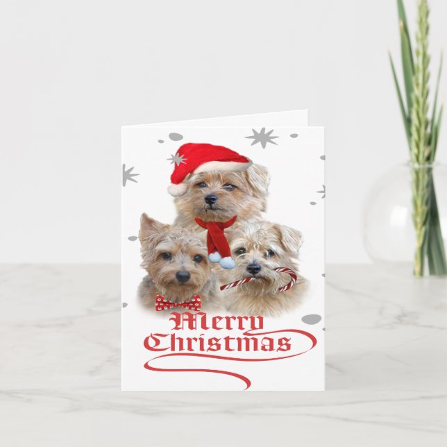 Norwich Terrier Christmas Holiday Card (Front)