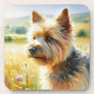 Norwich Terrier Coaster