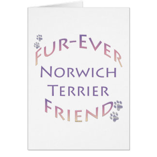 Norwich Terrier Furever