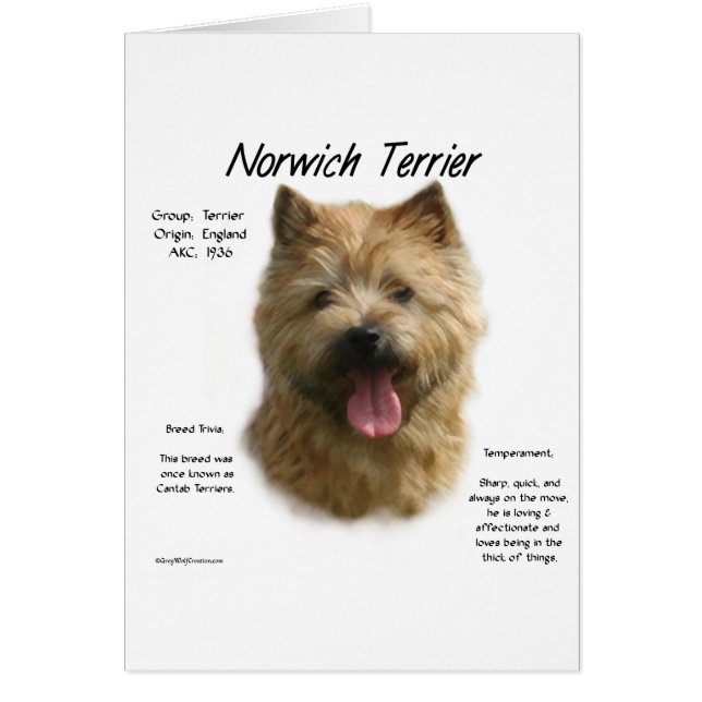 Norwich Terrier History Design (Front)