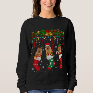 Norwich Terrier In Sock Xmas Reindeer Santa ELF Do Sweatshirt