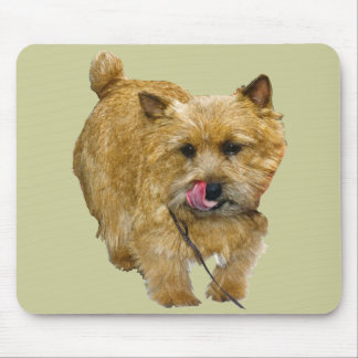 Norwich Terrier Mouse Pad