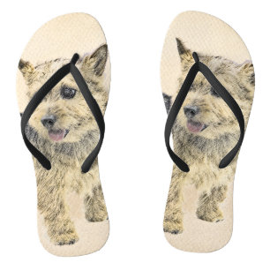 Norwich Terrier Painting - Cute Original Dog Art Jandals