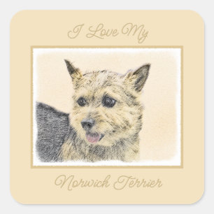 Norwich Terrier Painting - Cute Original Dog Art S Square Sticker