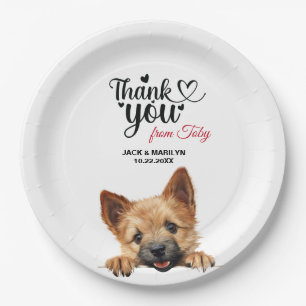 Norwich Terrier Paper Plate