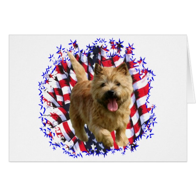 Norwich Terrier Patriot (Front Horizontal)