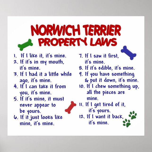 NORWICH TERRIER PL2 POSTER (Front)