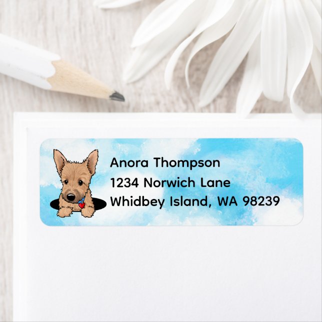 Norwich terrier Puppy (Insitu)