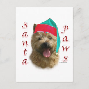 Norwich Terrier Santa Paws Holiday Postcard