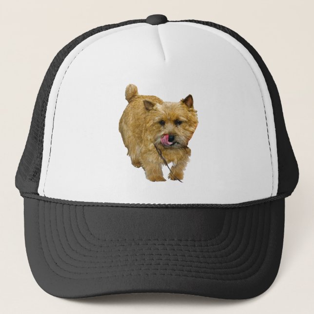 Norwich Terrier Trucker Hat (Front)