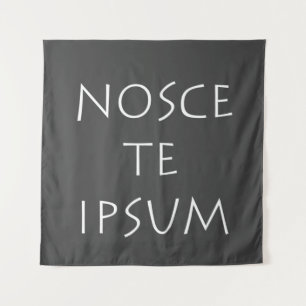 Nosce te ipsum tapestry