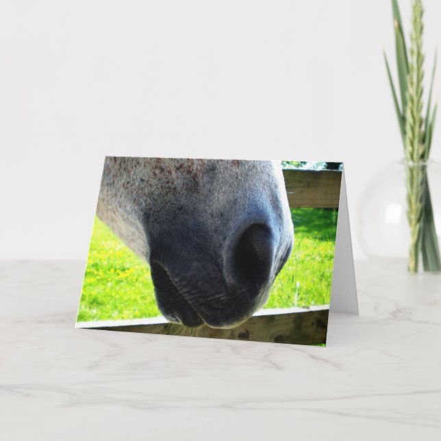 Nose job card (Front)