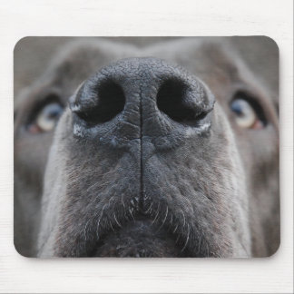 Nose of a Great Dane Mouse Pad