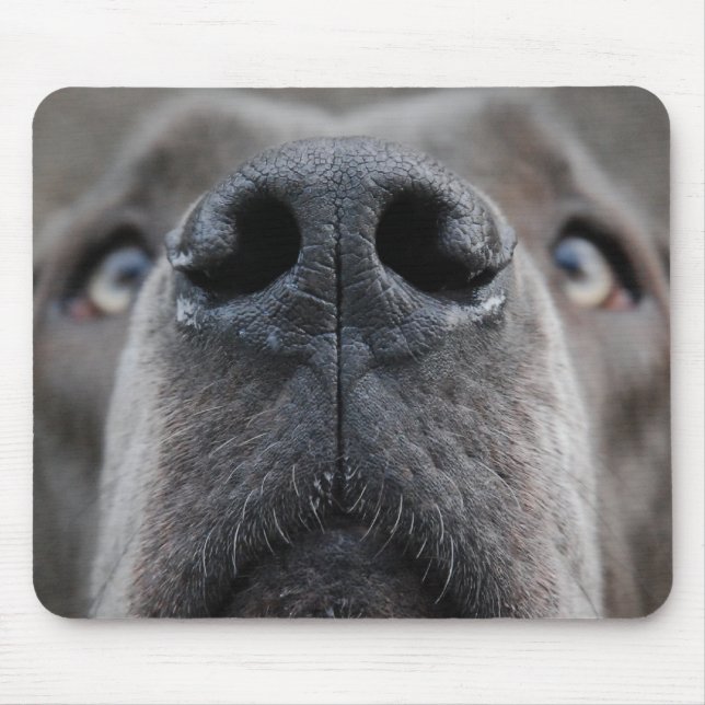 Nose of a Great Dane Mouse Pad (Front)