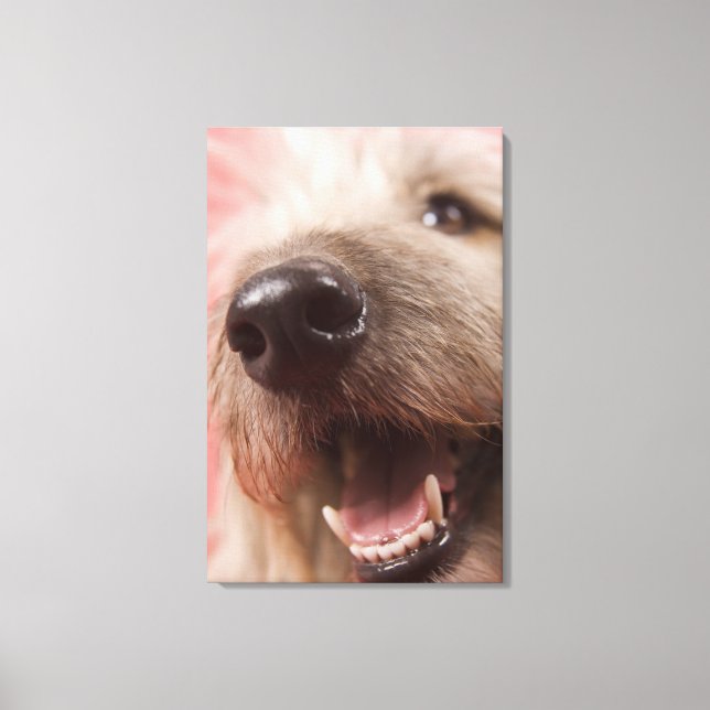 Nose of dog canvas print (Front)