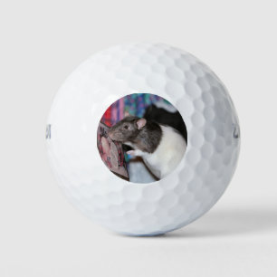 Nosey Golf Balls