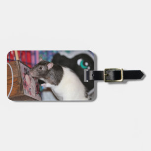 Nosey Luggage Tag