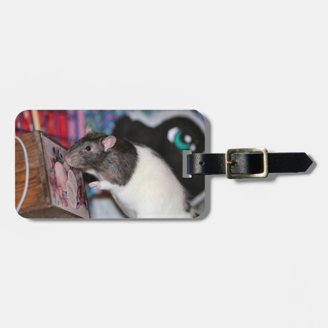 Nosey Luggage Tag (Front Horizontal)