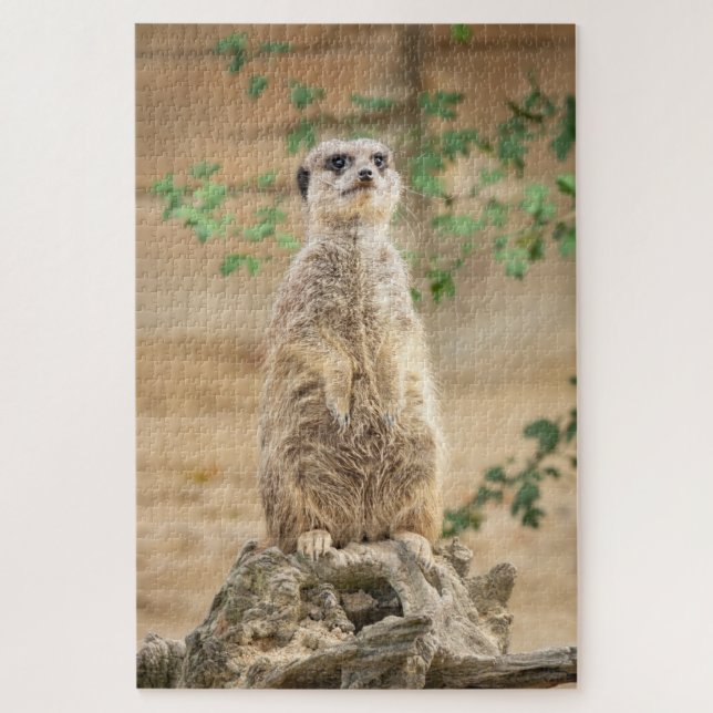nosey meerkat jigsaw puzzle (Vertical)