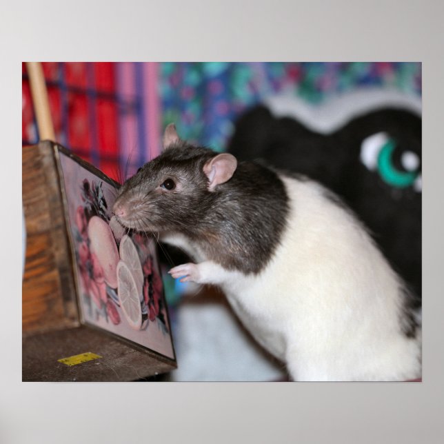 Nosey Poster (Front)