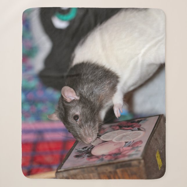 Nosey rat  sherpa blanket (Front)