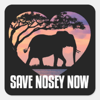 Nosey Sticker. Decal Square Sticker
