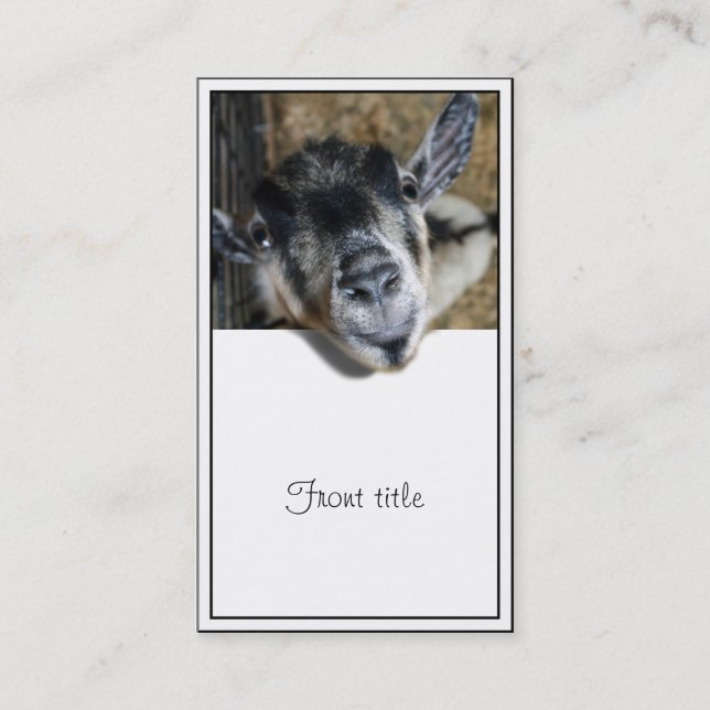 Nosy Goat Looking Out Business Card (Front)