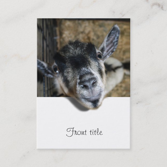 Nosy Goat Looking Out Business Card (Front)