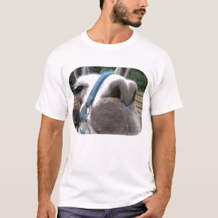 Nosy Llama T-Shirt