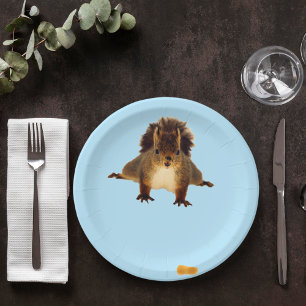 Nosy red squirrel in snow paper plate