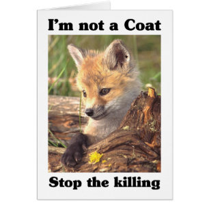 Not A Coat-Fox
