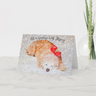 Not a Creature Was Stirring Holiday Card