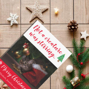 Not A Creature Was Stirring Pet Photo Holiday Card