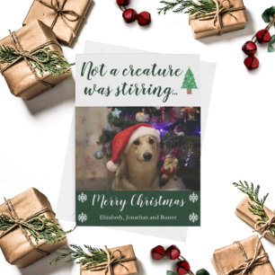 Not A Creature Was Stirring Pet Photo Holiday Card