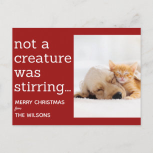 not a creature was stirring red photo christmas postcard