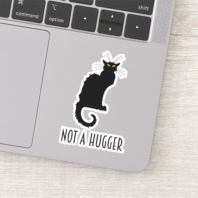 Not A Hugger Funny Introvert Antisocial Cat (Detail)