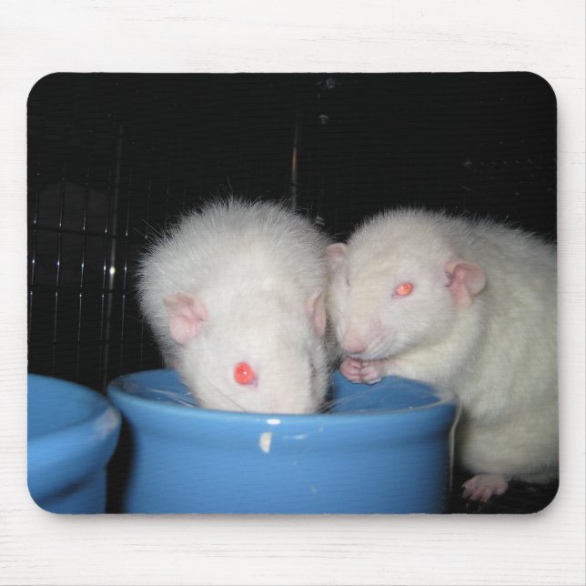 Not a Mouse Pad... Pad (Front)