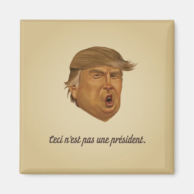 Not a President Magnet (Front)