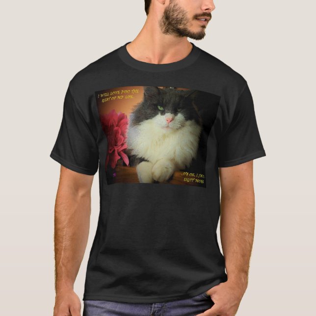Not Afraid To Commit Cat Meme T-Shirt (Front)
