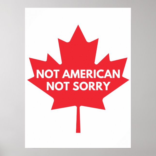 Not American, Not Sorry Poster (Front)